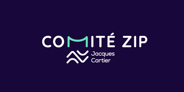 COMITE-ZIP-PATTERN1