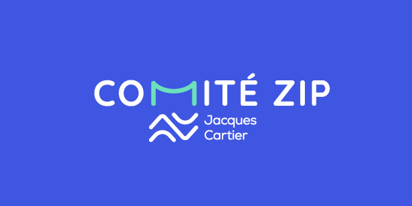 COMITE-ZIP-PATTERN2