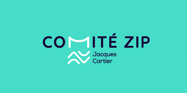 COMITE-ZIP-PATTERN3